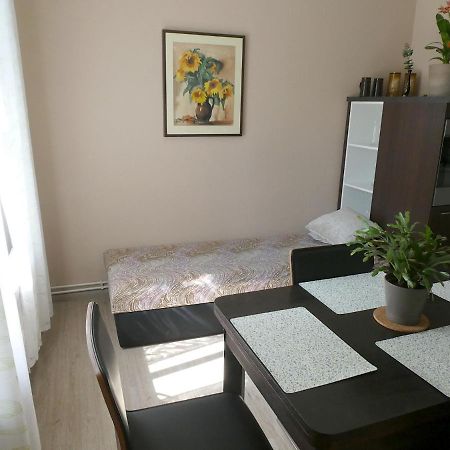 Apartman Marenka نوفي ميستو نا مورافي المظهر الخارجي الصورة