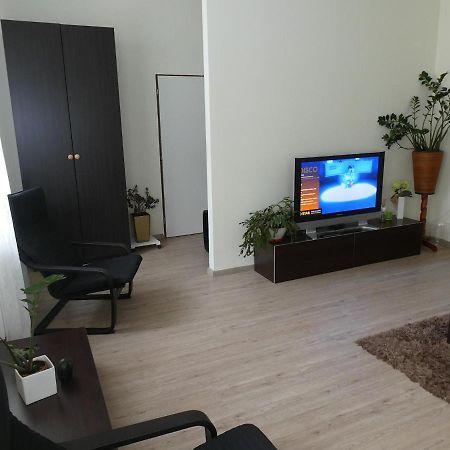 Apartman Marenka نوفي ميستو نا مورافي المظهر الخارجي الصورة