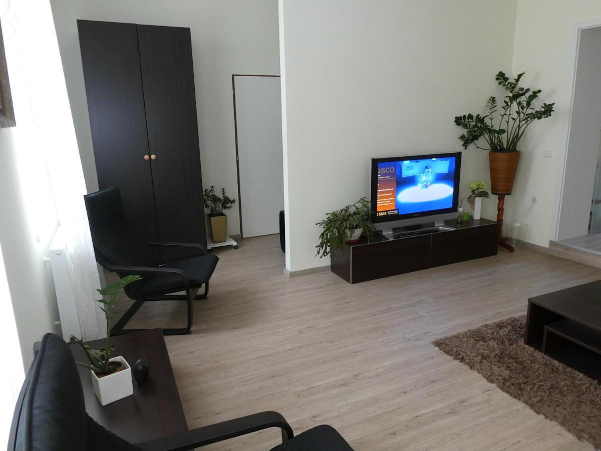 Apartman Marenka نوفي ميستو نا مورافي المظهر الخارجي الصورة