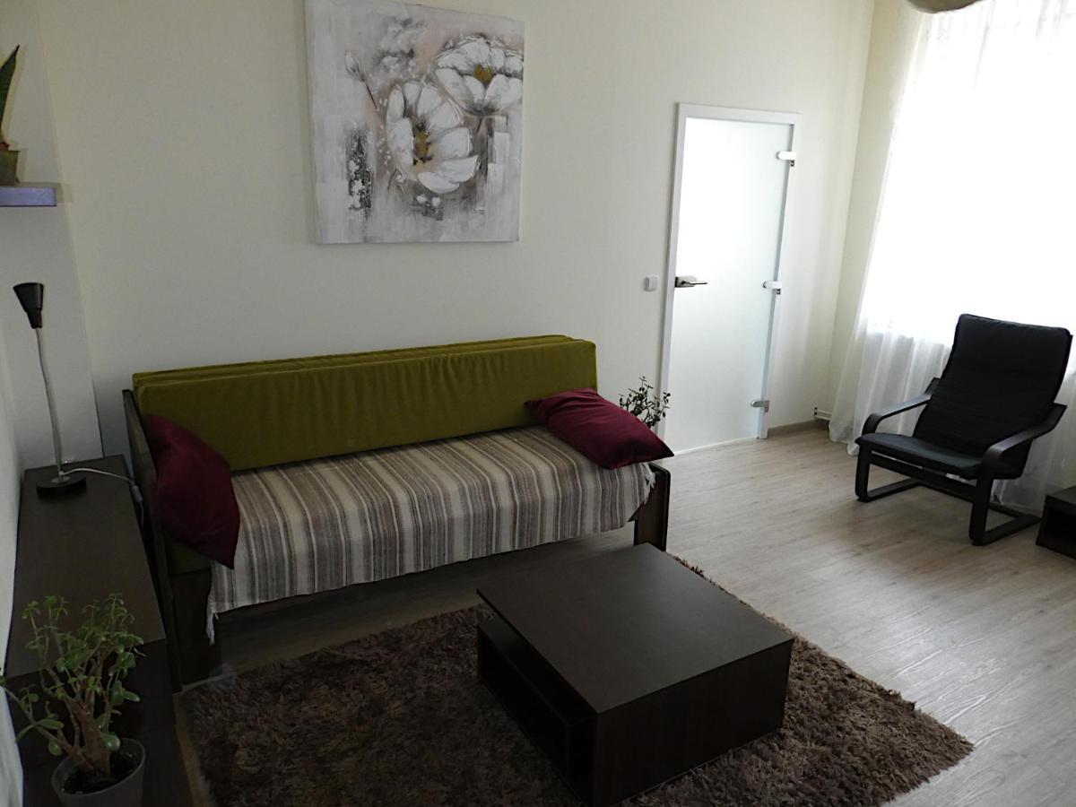 Apartman Marenka نوفي ميستو نا مورافي المظهر الخارجي الصورة